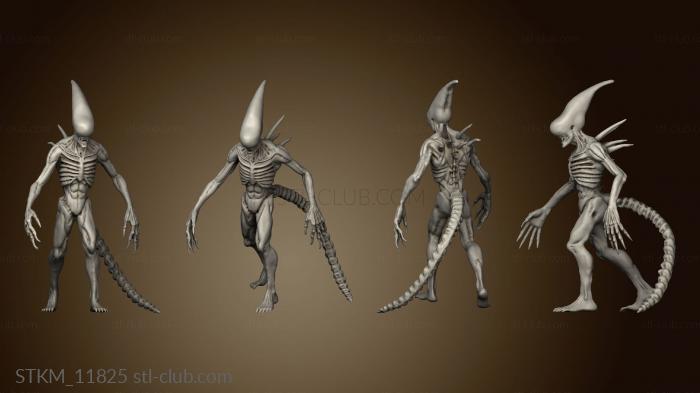 3D model Aliens solo NEO GIGERIAN PROTO WALKER (STL)