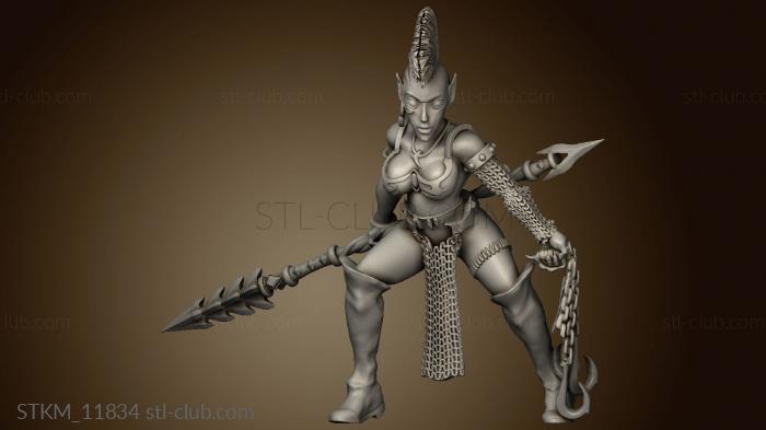 3D model heroes batch dark elf princess (STL)