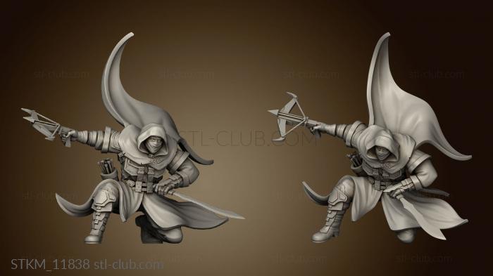 3D model Assassins assassin (STL)