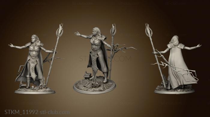 3D model Arcanum Akara The Sorceress (STL)