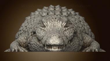 3D model Articulated Giant Crocodile MOUTH GIANT CROCODILE AND TAIL (STL)