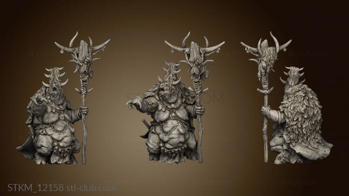 3D model Aurox Minotaurs Bloodbrand Matriarch (STL)