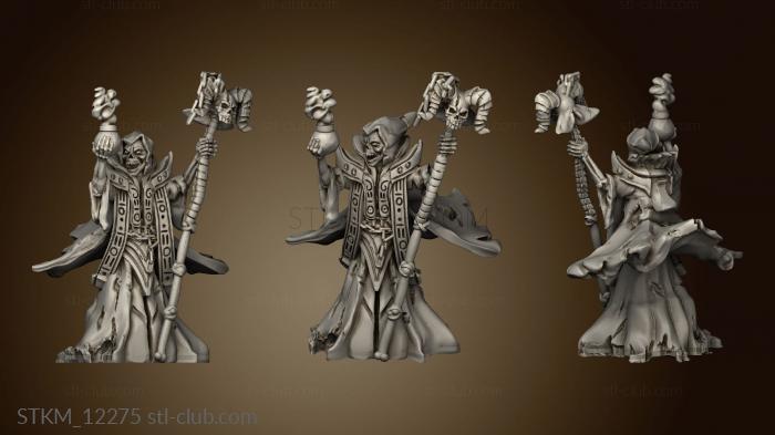 3D model Brayan Nafarrate Bestiary Lich (STL)