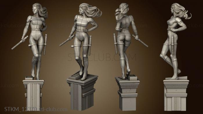 3D model Black Canary Batgirl Huntress (STL)