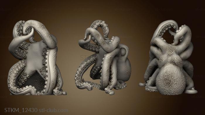 3D model Bordeaux The Octopus (STL)