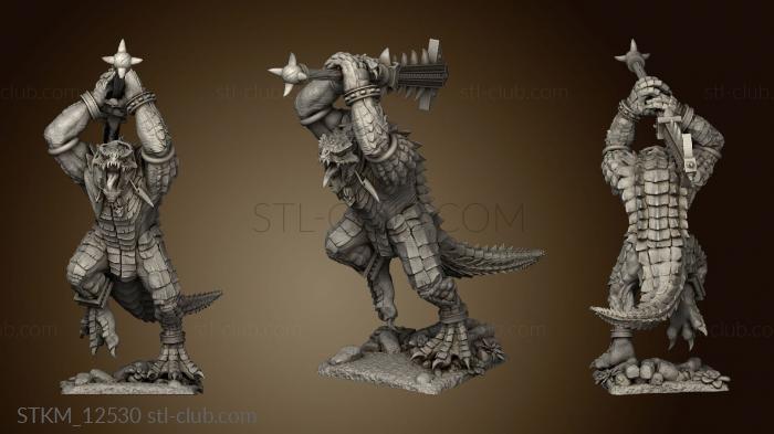 3D model CAIMANS (STL)