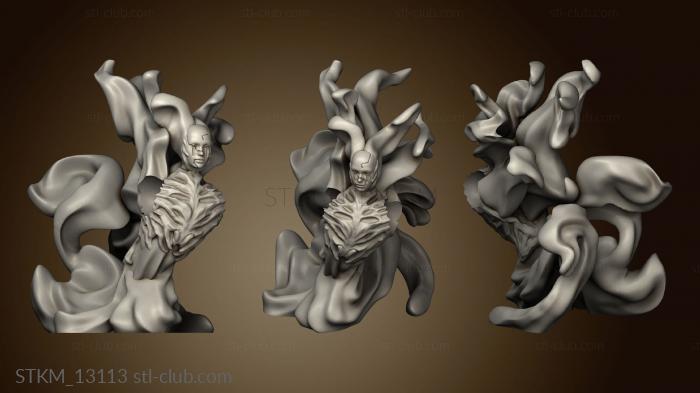 3D model Cult Pickle Shadowfell SW Torso (STL)