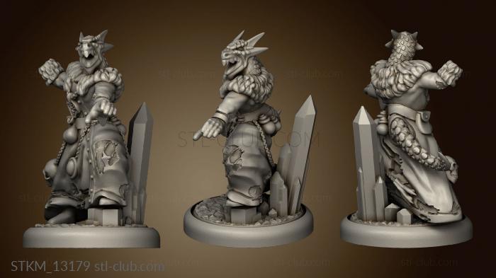 3D model Dragonborn Casters Ice Fire Male Shaman Mm (STL)