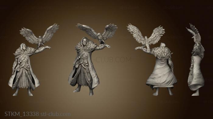 3D model Fey Woods Half Witch Hunter Falcon (STL)