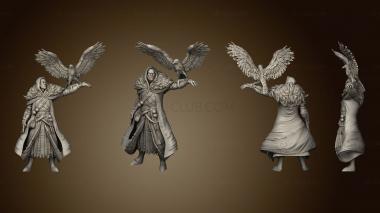 3D model Fey Woods Half Witch Hunter Falcon (STL)