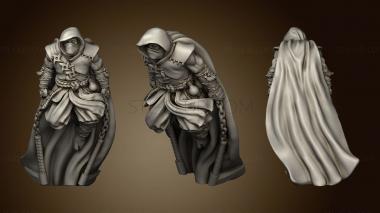 3D model Dragon Empire Ninja (STL)