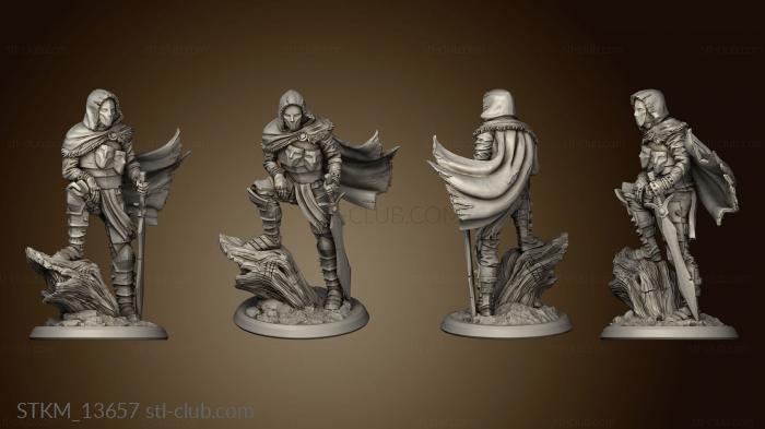 3D model Flash God s Assassin (STL)