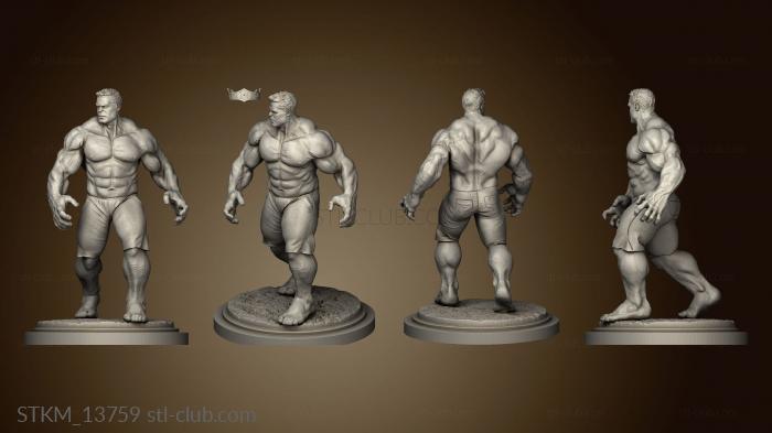 3D model Hulk Inteligente (STL)