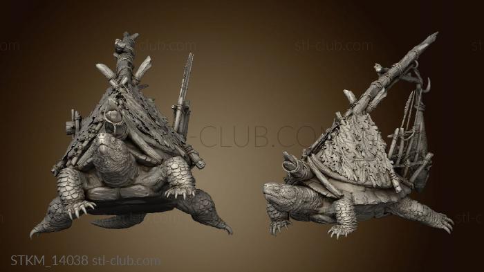 Tale Archduke Mousin Turtle Platform