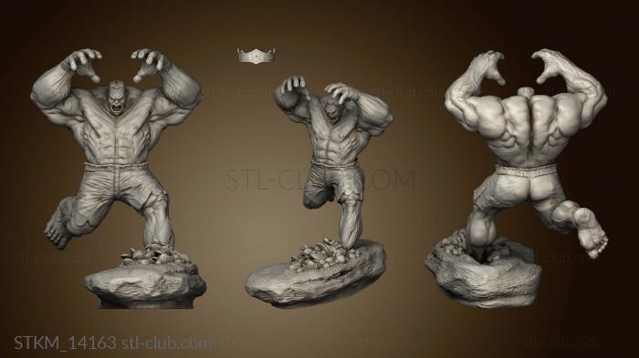 3D model HULK (STL)