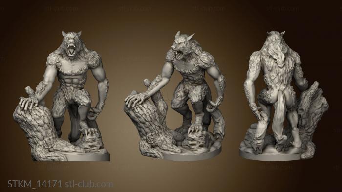 3D model Humble Dungeons and Cities BSG The Werewolf needed (STL)