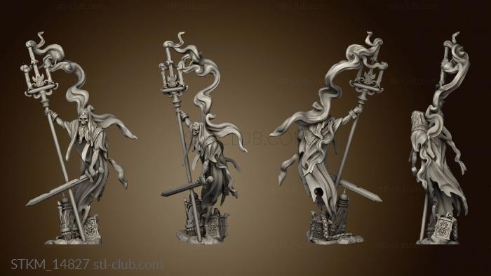 3D model Nighthaunt Kosher Vs champion (STL)