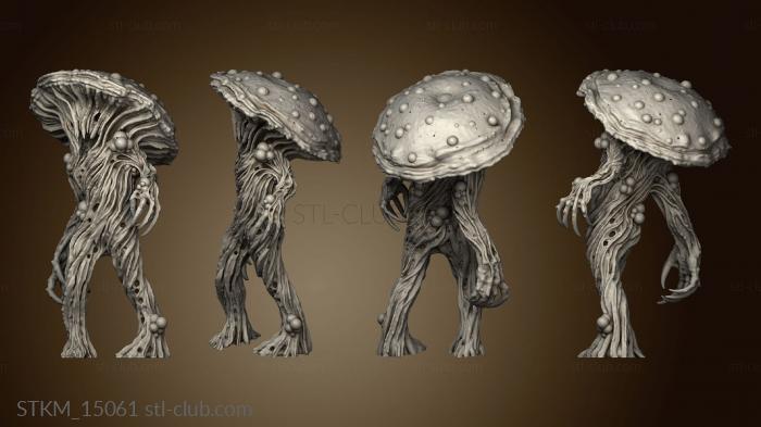 Nightmare Grotto Fungi Mushroom Men warriors