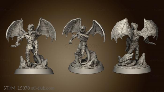 3D model Flying Kobold Its (STL)