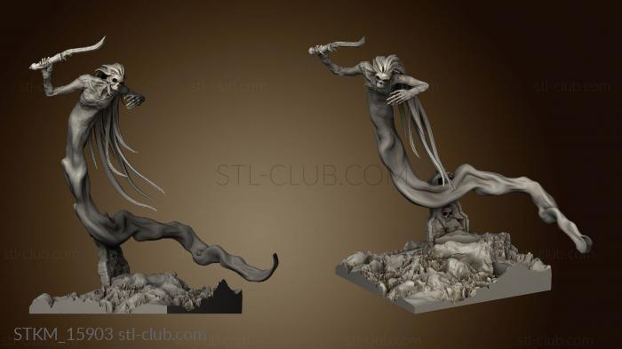 3D model Wraith Kings Spirits the Crypt Spirit (STL)