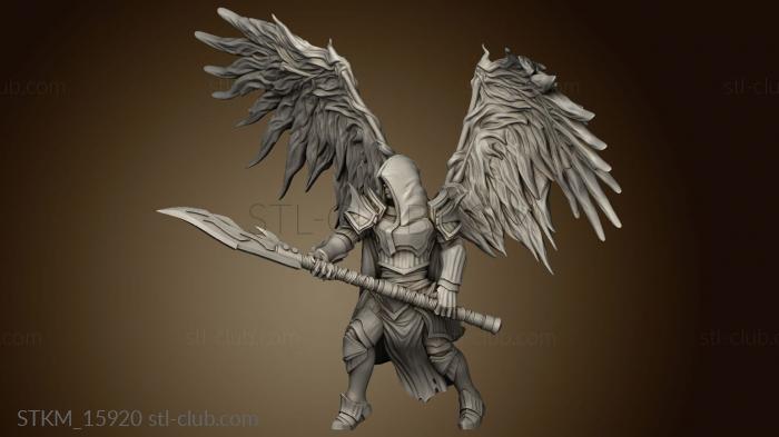 Sicorra Aasimar Paladin Wings Hood