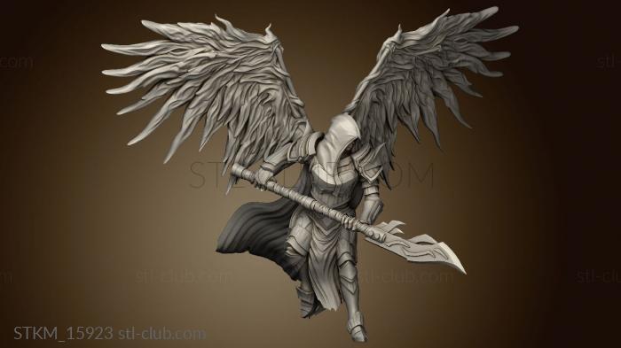 Sicorra Aasimar Paladin Wings Hood