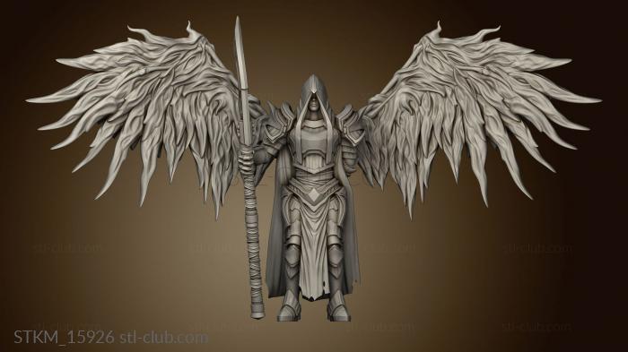 Sicorra Aasimar Paladin Wings Hood