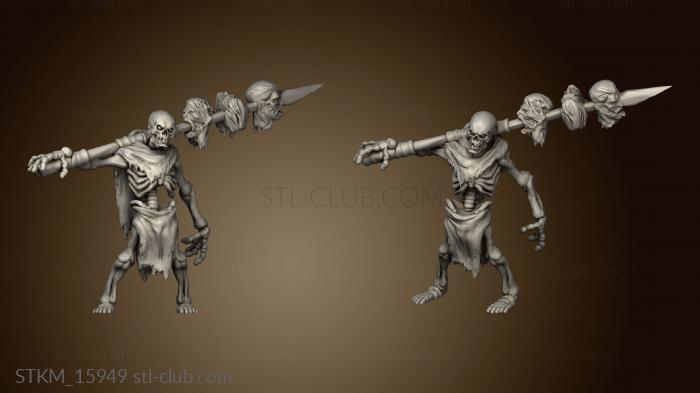 3D model Skeletons Amini Skeleton (STL)