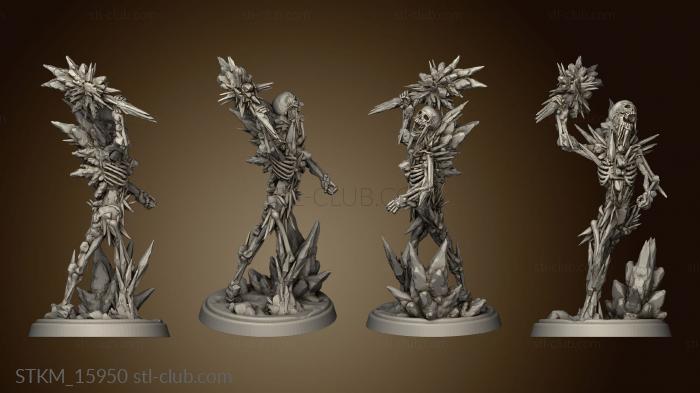 3D model Skeletons Ho rost (STL)