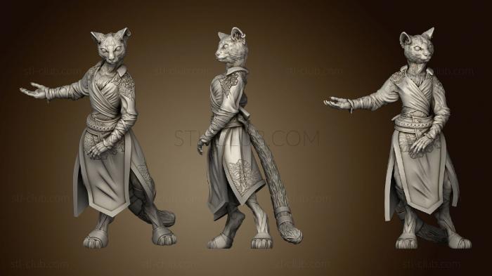 Amalya Tabaxi Monk