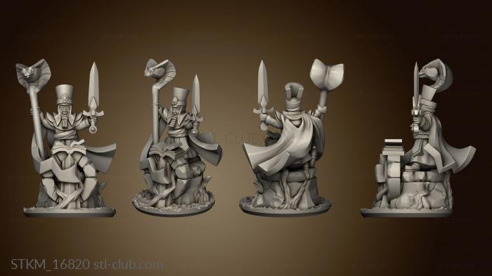 3D model Wizards wizard (STL)