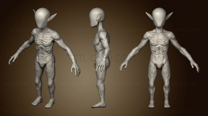 Elf Base Mesh 2