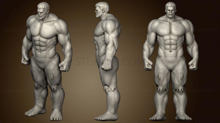 3D model Hulk Fan Art (STL)