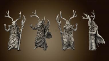 3D model Blights and Druids (STL)