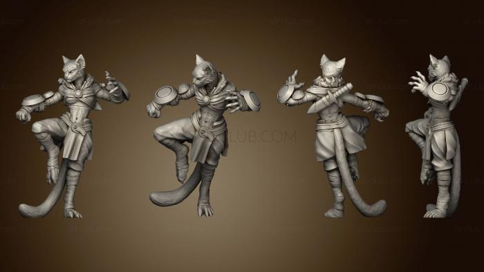 3D model female tabaxi monk (STL)