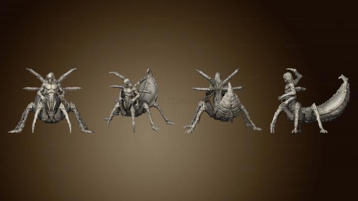 3D model Leng Spider Large (STL)