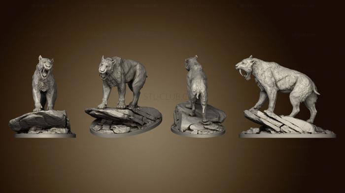 3D model Smilodon Populator (STL)