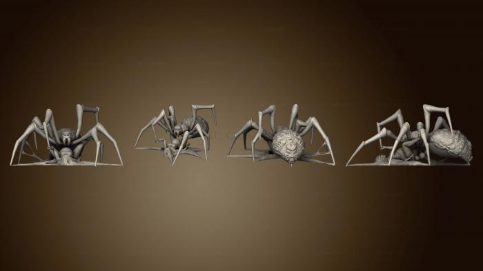 3D model SPIDER IMPLANTING EGGS (STL)