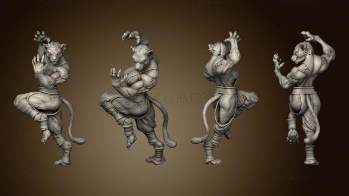 3D model Tabaxi 01 Monk Female (STL)