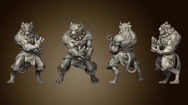 3D model Tabaxi 02 Monk Male (STL)