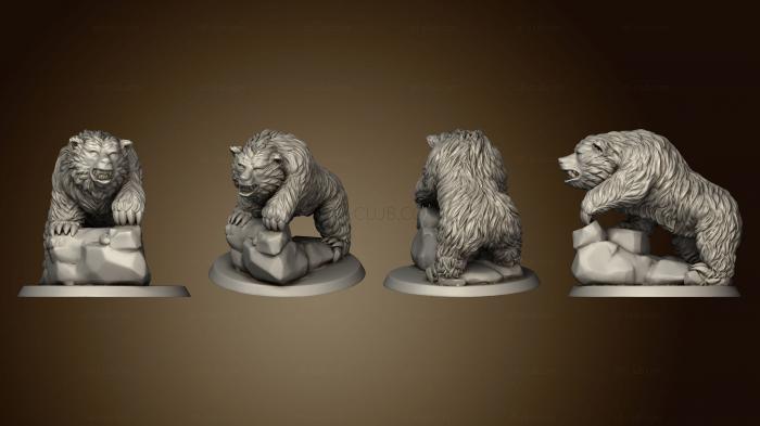 The Wilderness Bears Set of 2 v 3