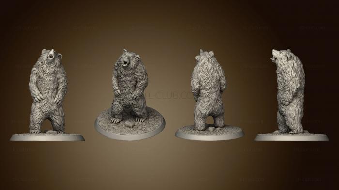 The Wilderness Bears Set of 2