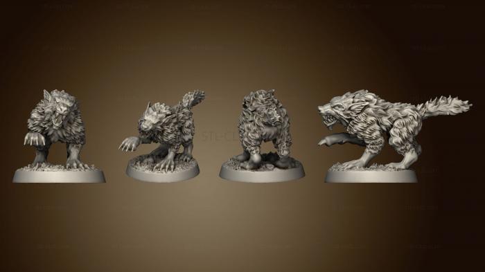 The Wilderness Wolves Set of 5