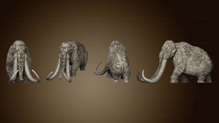 Wilds of Wintertide Mammoth Regular Unbased NEEDS