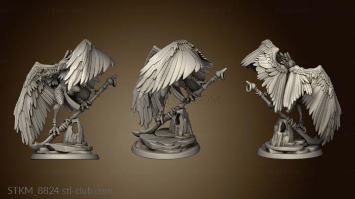 3D model Aarakocra Harpy (STL)