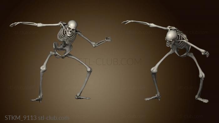 skull surf and skeleton