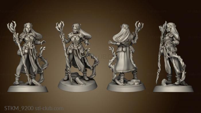 3D model Into The Woods Heroes Druid (STL)