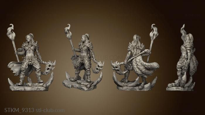 3D model Felga Frostheart Grave Cleric (STL)