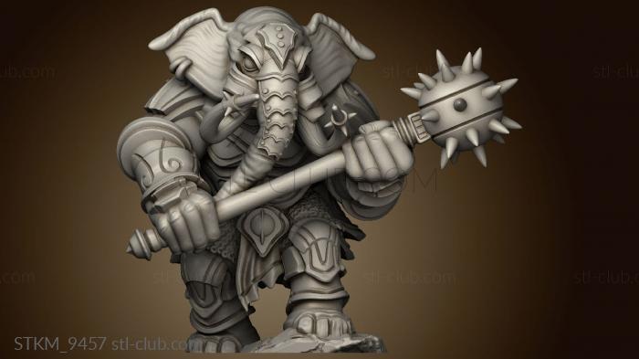 Elephant Warrior