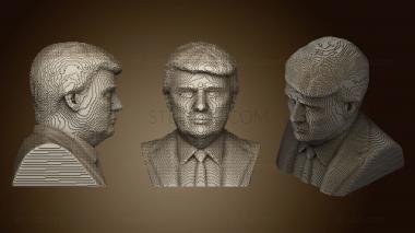 3D модель Схема Сборки Майнкрафта Дональдом Трампом (STL)